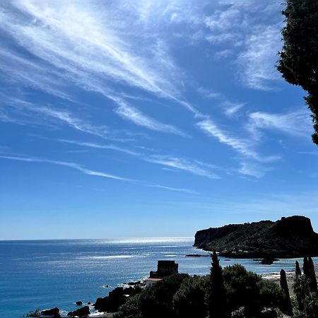 Villa Nappi Bed & Breakfast Praia a Mare Exterior foto