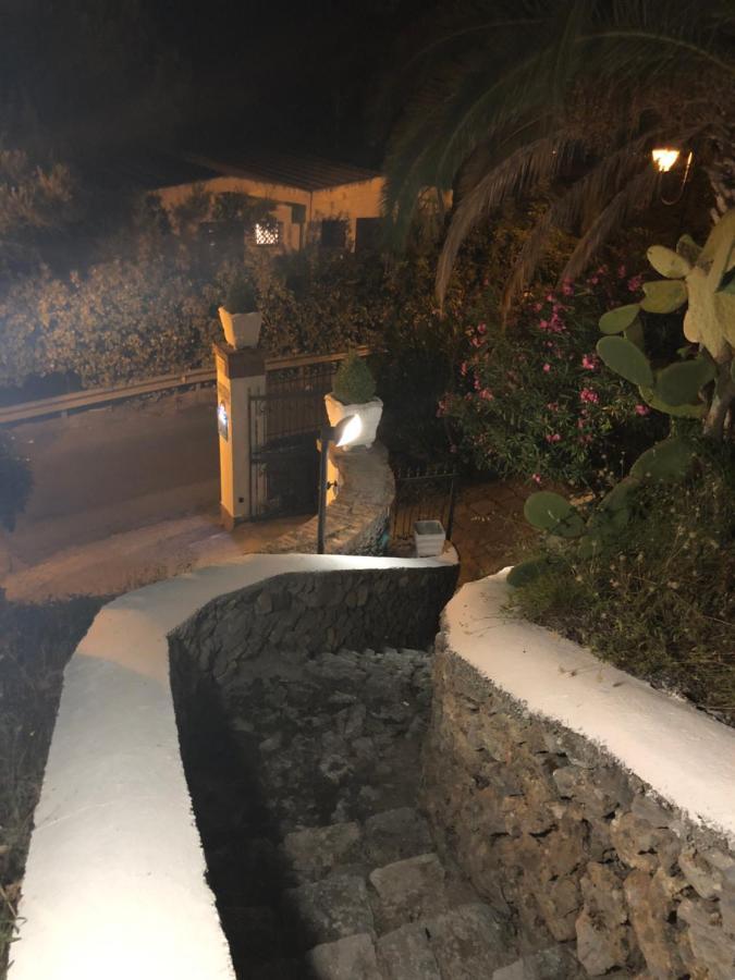 Villa Nappi Bed & Breakfast Praia a Mare Exterior foto